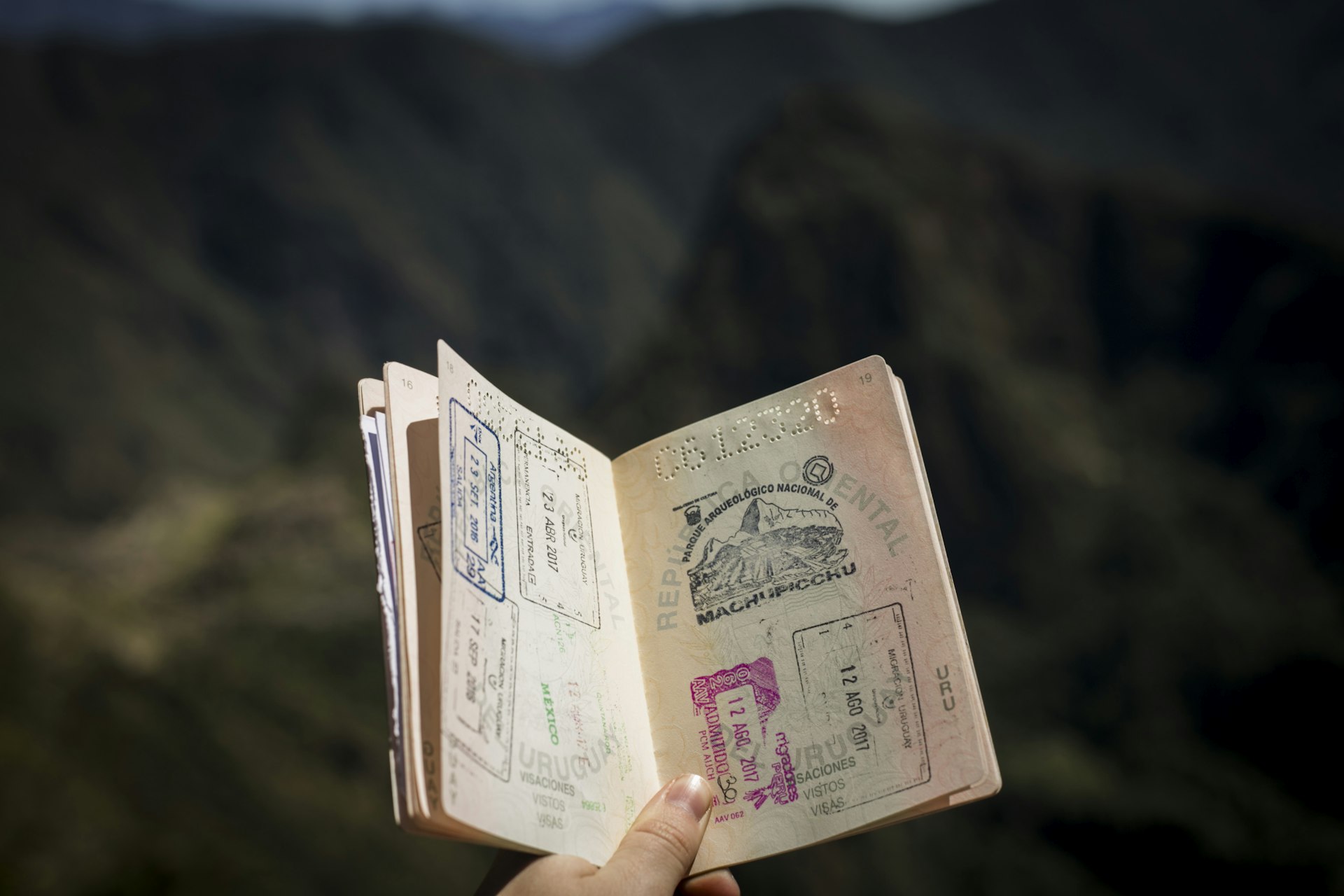 Why NAATI Certified Translations are Essential for Immigration Applications