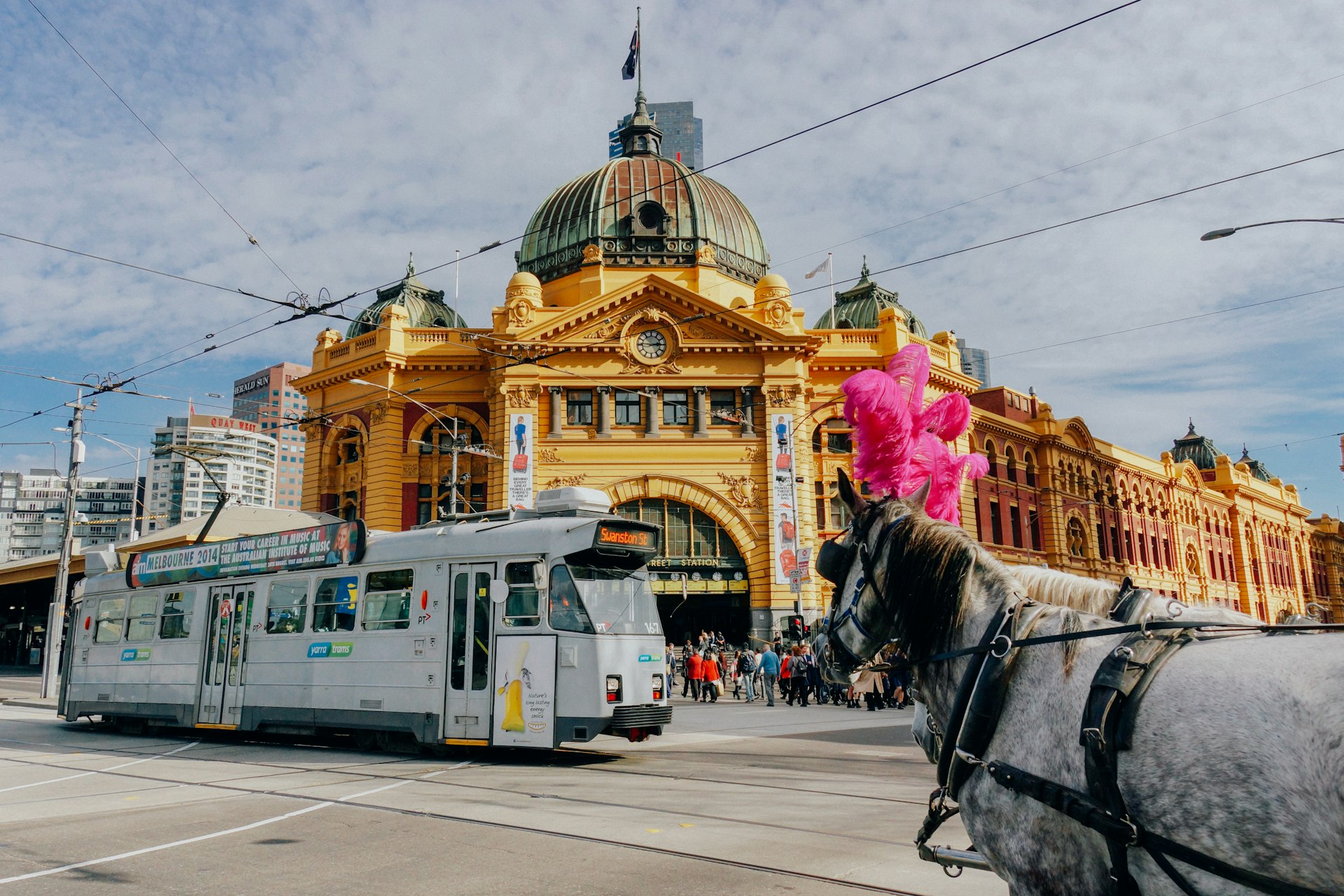 Where NAATI Certified Translations Are Required in Victoria, Australia